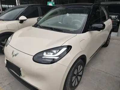Wuling Bingo