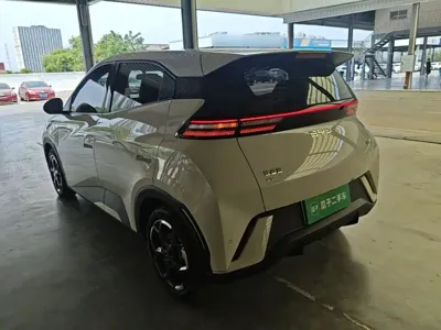 BYD Seagull