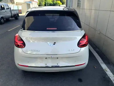 Wuling Bingo