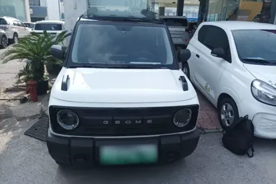 Geely Galaxy Panda