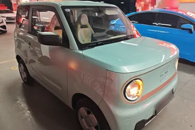 Geely Galaxy Panda