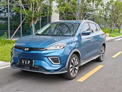 WM Motor EX5