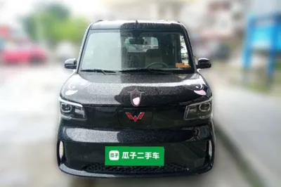 Wuling Zhiguang New Energy
