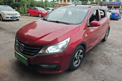 Baojun 310