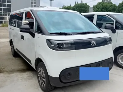 Maxus V1