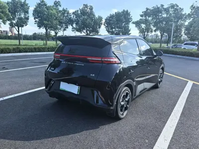 BYD Seagull