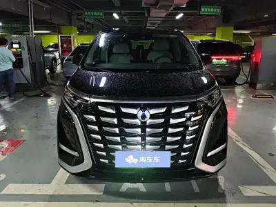 Denza Denza D9