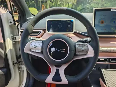 BYD Seagull