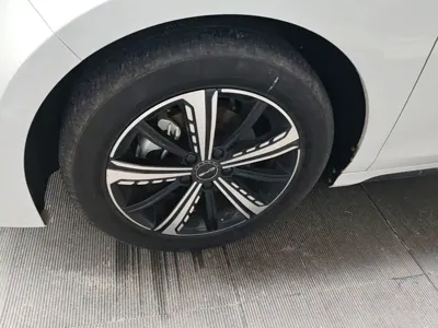 BYD Destroyer 05