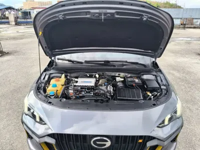 GAC Motor Shadow Leopard