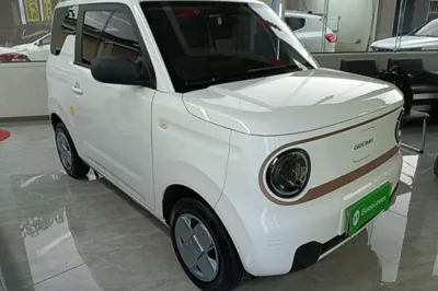 Geely Galaxy Panda