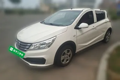 Baojun 310