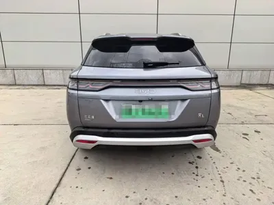 BYD L DM-i