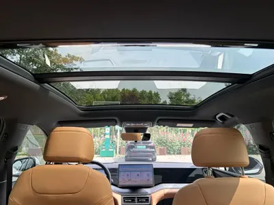 BYD L DM-i
