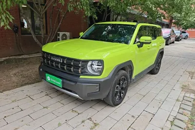 Haval X DOG