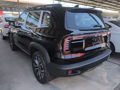 Haval Big Dog