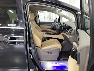 Denza Denza D9