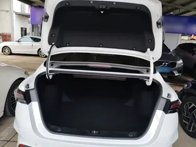 Geely Binrui