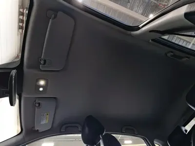 NETA Neta V