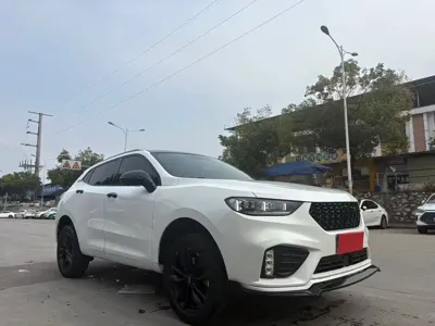 WEY Wey VV5
