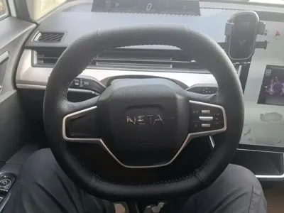 NETA Neta V