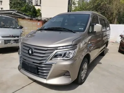 Fengxing Lingzhi