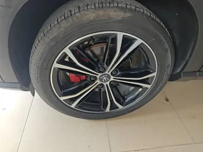 BYD PLUS