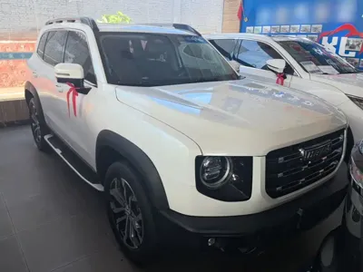 Haval Big Dog