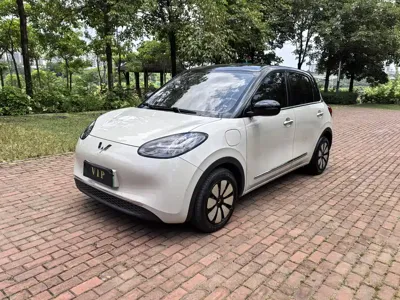 Wuling Bingo