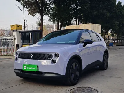 Nio Firefly