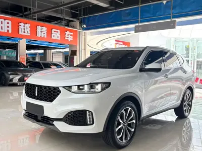 WEY Wey VV6