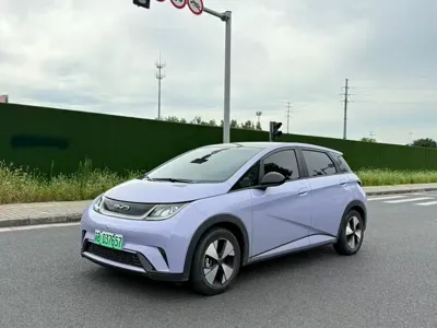 BYD Dolphin