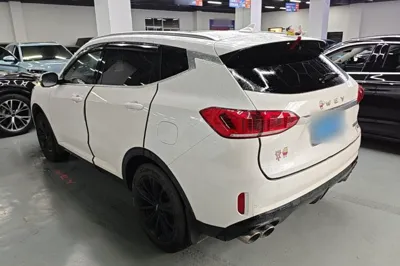 WEY VV6