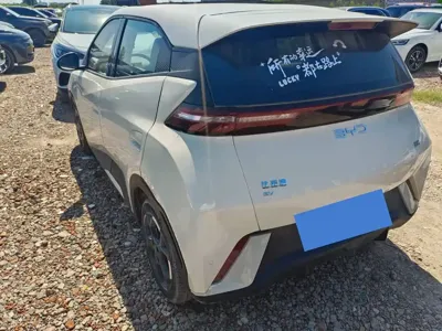 BYD Seagull