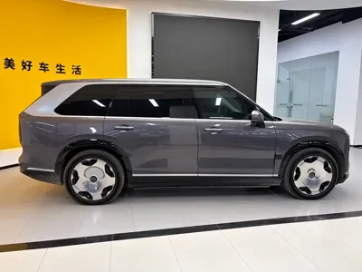 Zeekr 极氪9X