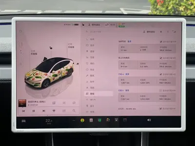 Tesla Model Y L