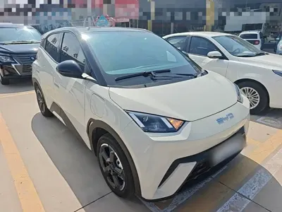 BYD Seagull