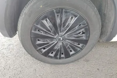 Wuling Bingo