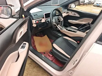 BYD Seagull