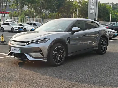BYD L EV