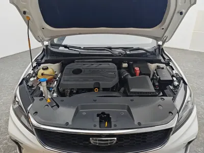 Geely Binrui