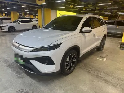 BYD Pro New Energy