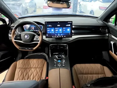 BYD Tang New Energy