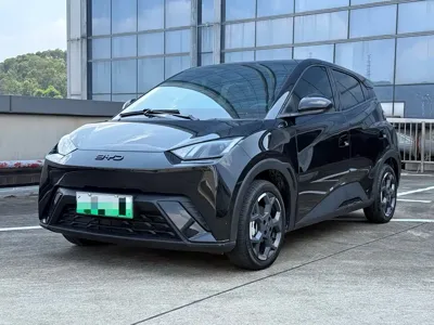 BYD Seagull