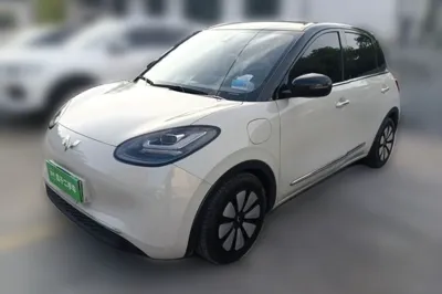 Wuling Bingo