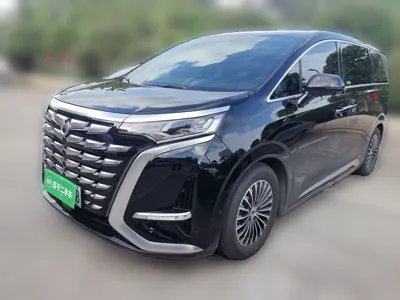 Denza D9