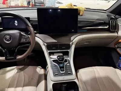 BYD Pro New Energy