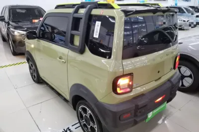 Geely Galaxy Panda