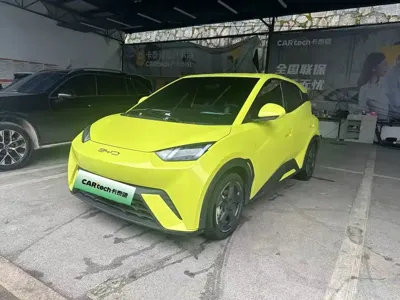 BYD Seagull