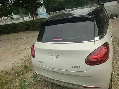 Wuling Bingo